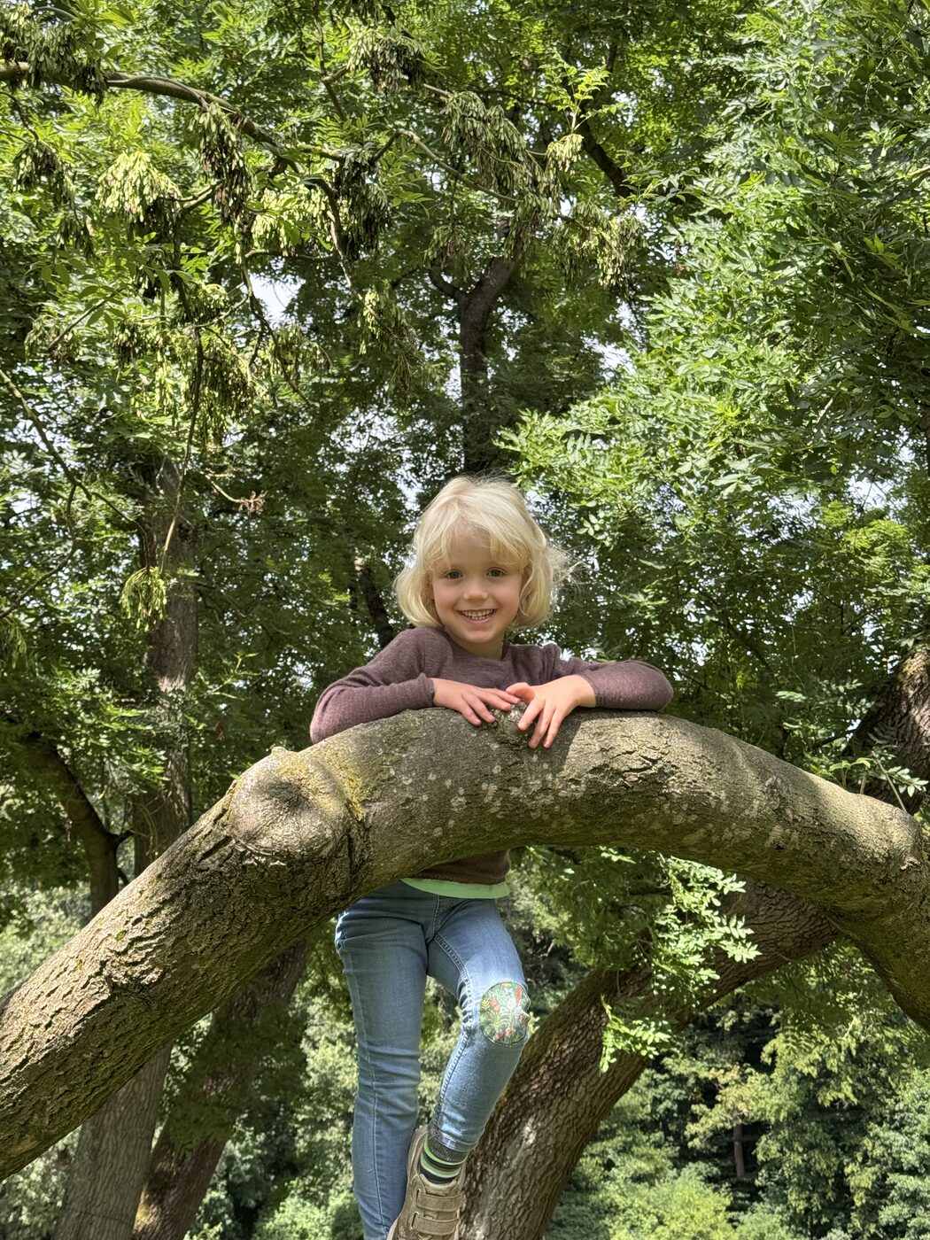 Pauline klettert auf einen Baum, 2025